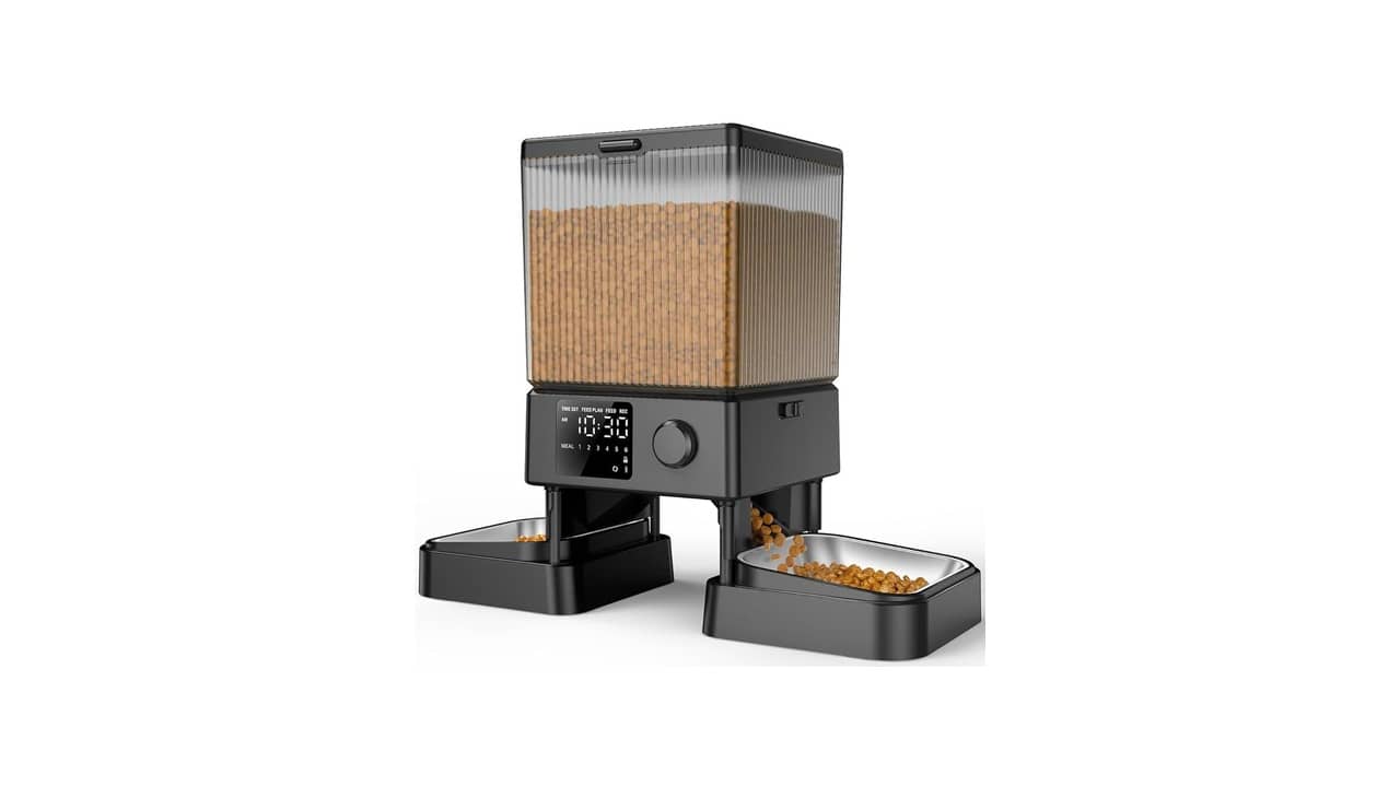 Melhor Alimentador Automático para Gato: 5 Modelos Inteligentes e Eficientes