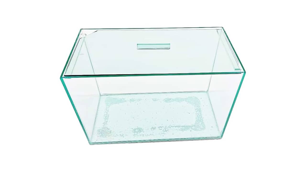 Melhor Aquário: Comparação de 10 Modelos Para Peixes Ornamentais