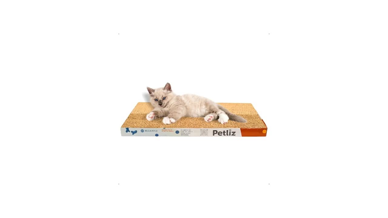 Melhor Arranhador para Gatos: Análise de 10 Modelos Duráveis e Interativos