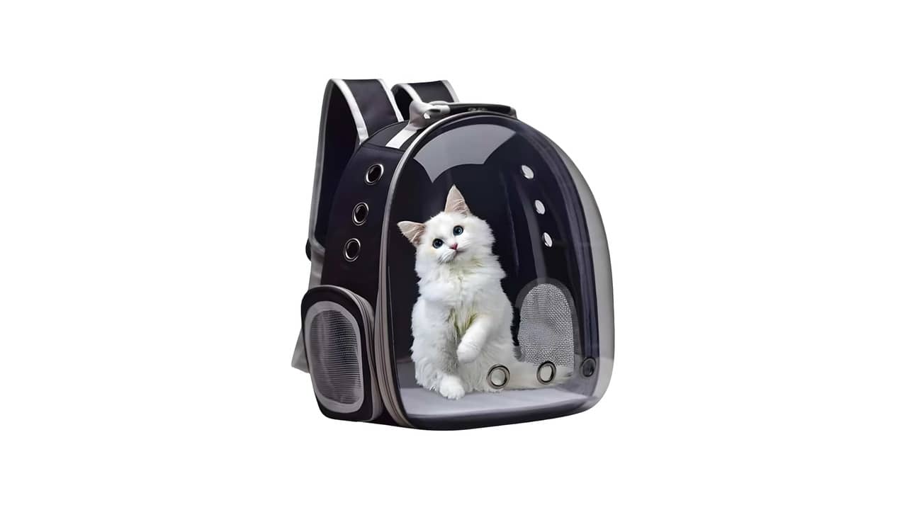 Melhor Bolsa de Transporte para Gato e Cachorro: Comodidade e Segurança