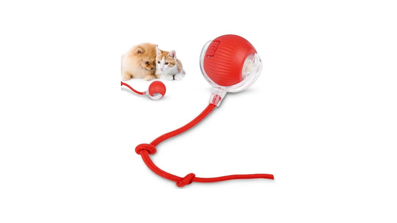 Melhor Brinquedo de Gato: Interação e Estímulo para Seus Filhotes