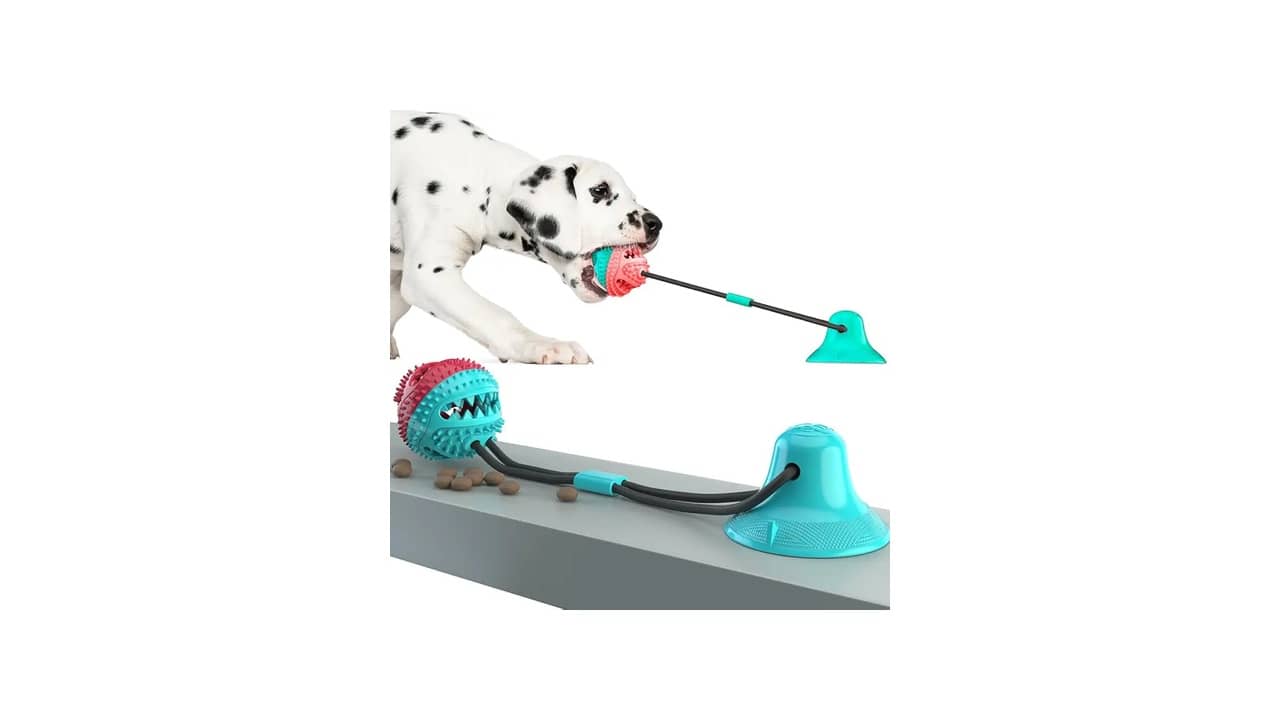 Melhor Brinquedo para Cachorro que Fica Sozinho: Estimulação Mental e Higiene Dental
