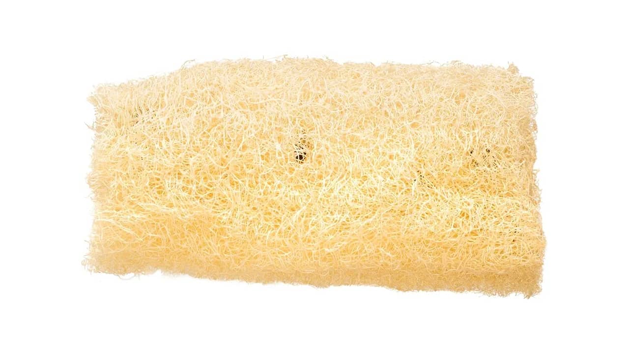 Melhor Bucha Vegetal: Escolha Inteligente para Limpeza Ecológica