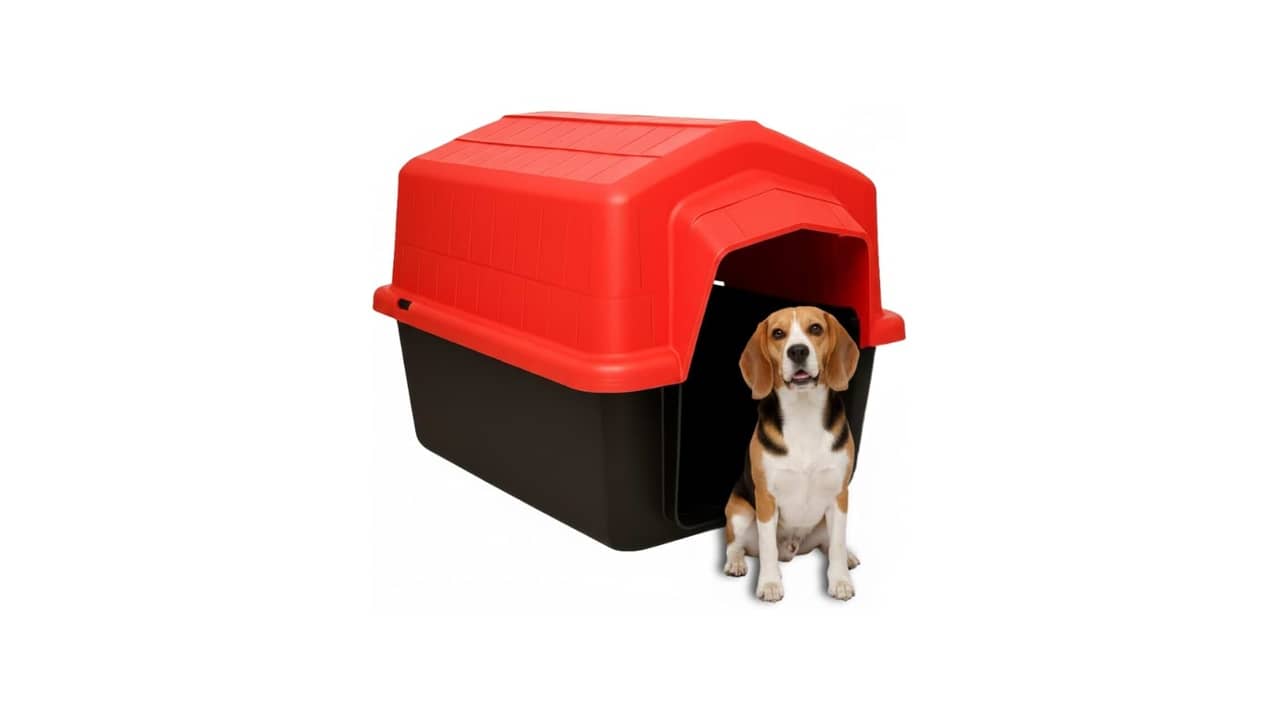 Melhor Casa para Cachorro: Proteção UV e Resistentes para Cães de Médio Porte