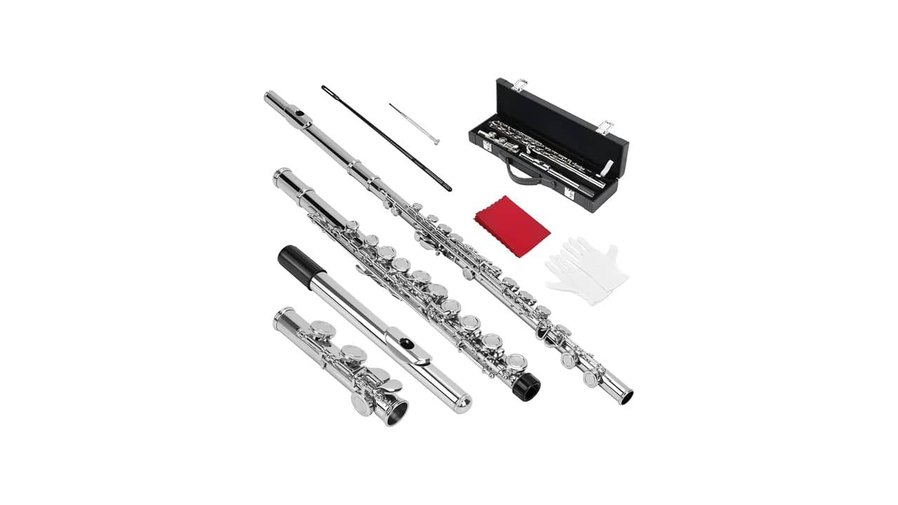 Melhor Flauta Transversal: Qual É a Melhor para Iniciantes?
