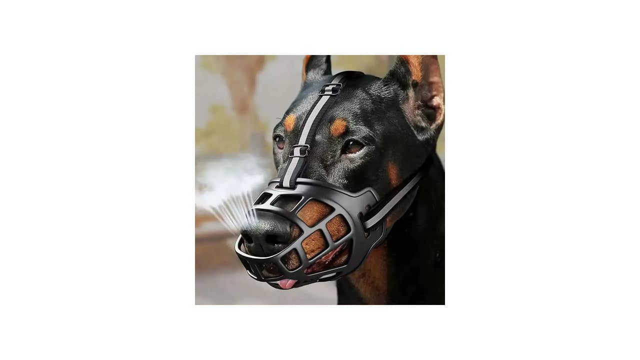 Melhor Focinheira: Segurança e Conforto para Cães de Diferentes Portes