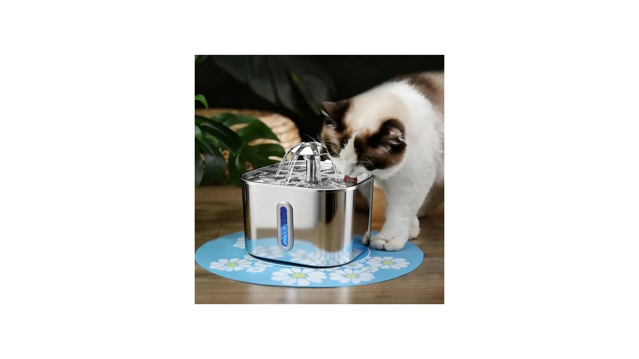 Melhor Fonte de Água Automática para Gato: Qual Desempenha Melhor?