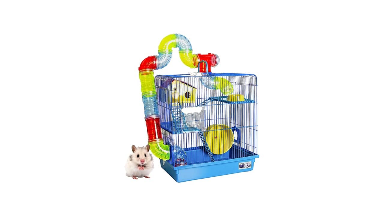 Melhor Gaiola de Hamster: 10 Opções Super Luxas para Hamsters