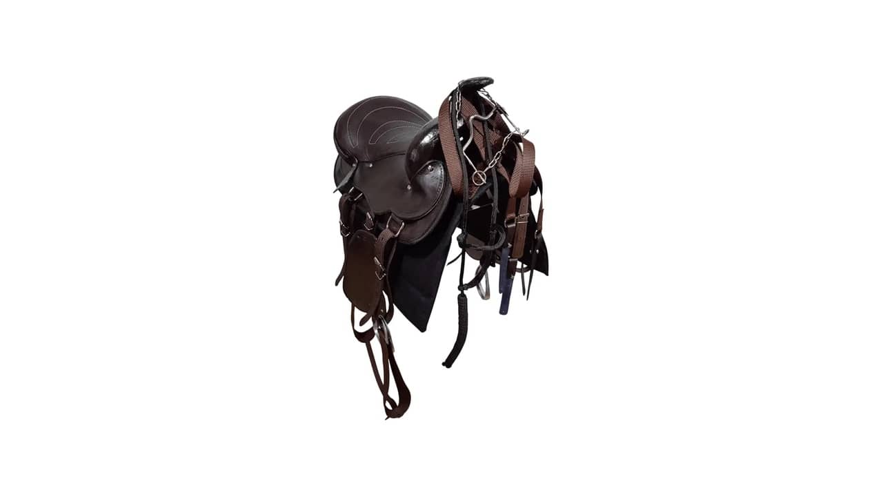 Melhor Sela para Cavalo: Análise de 10 Modelos Tradicionais e Modernos
