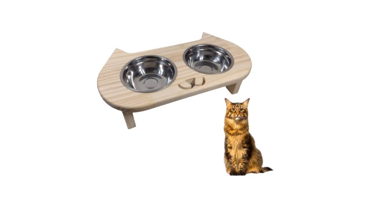 Melhor Vasilha para Gato: Top 10 Opções Ergonômicas