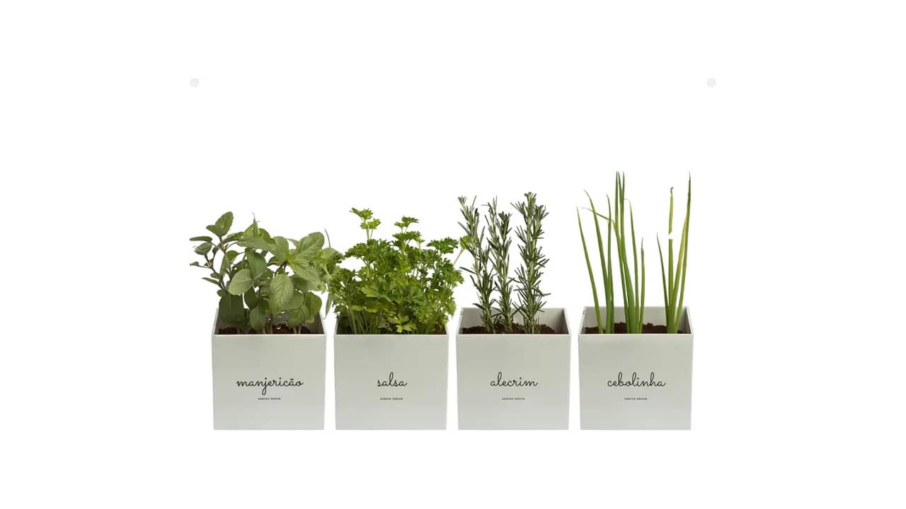 Melhor Vaso Autoirrigável: 10 Modelos Top para Jardins e Casa