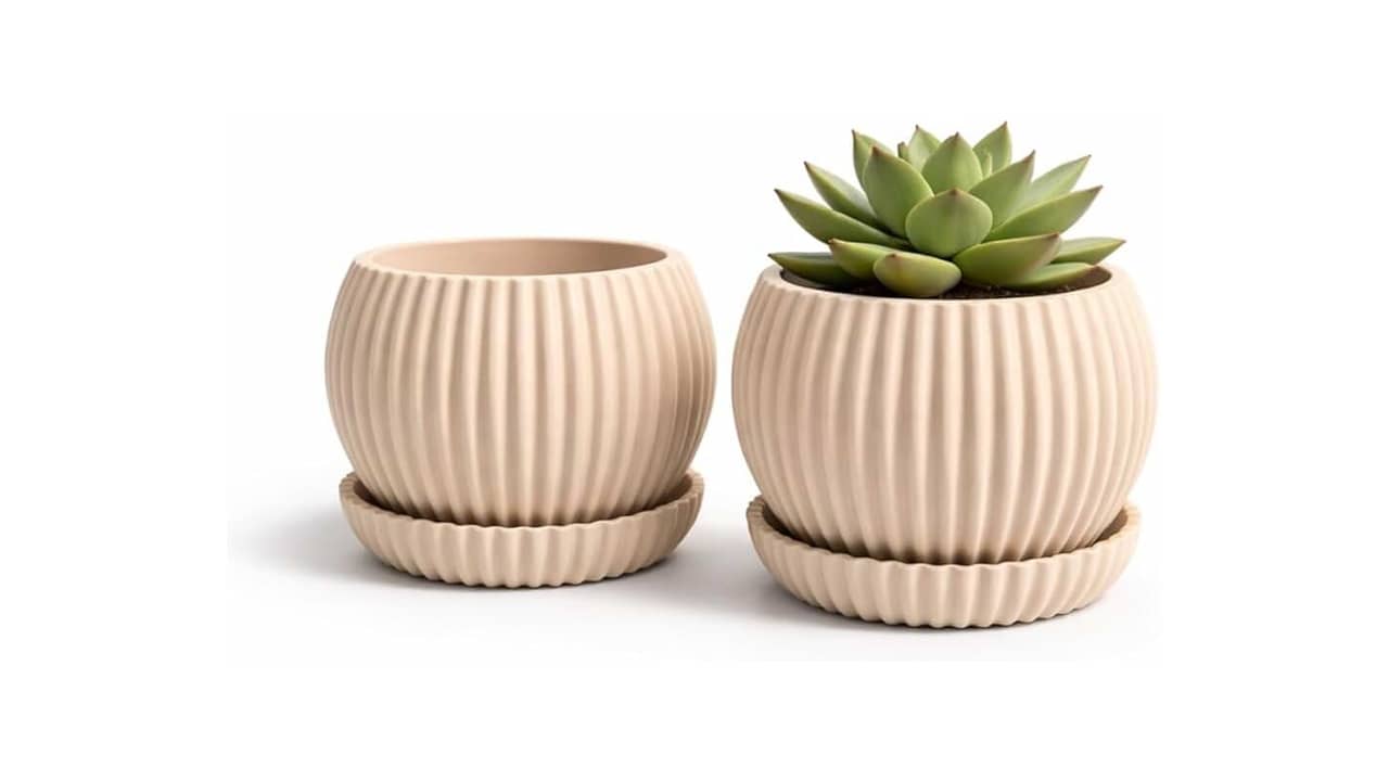 Melhor Vaso para Suculenta: 10 Opções Com Design e Funcionalidade